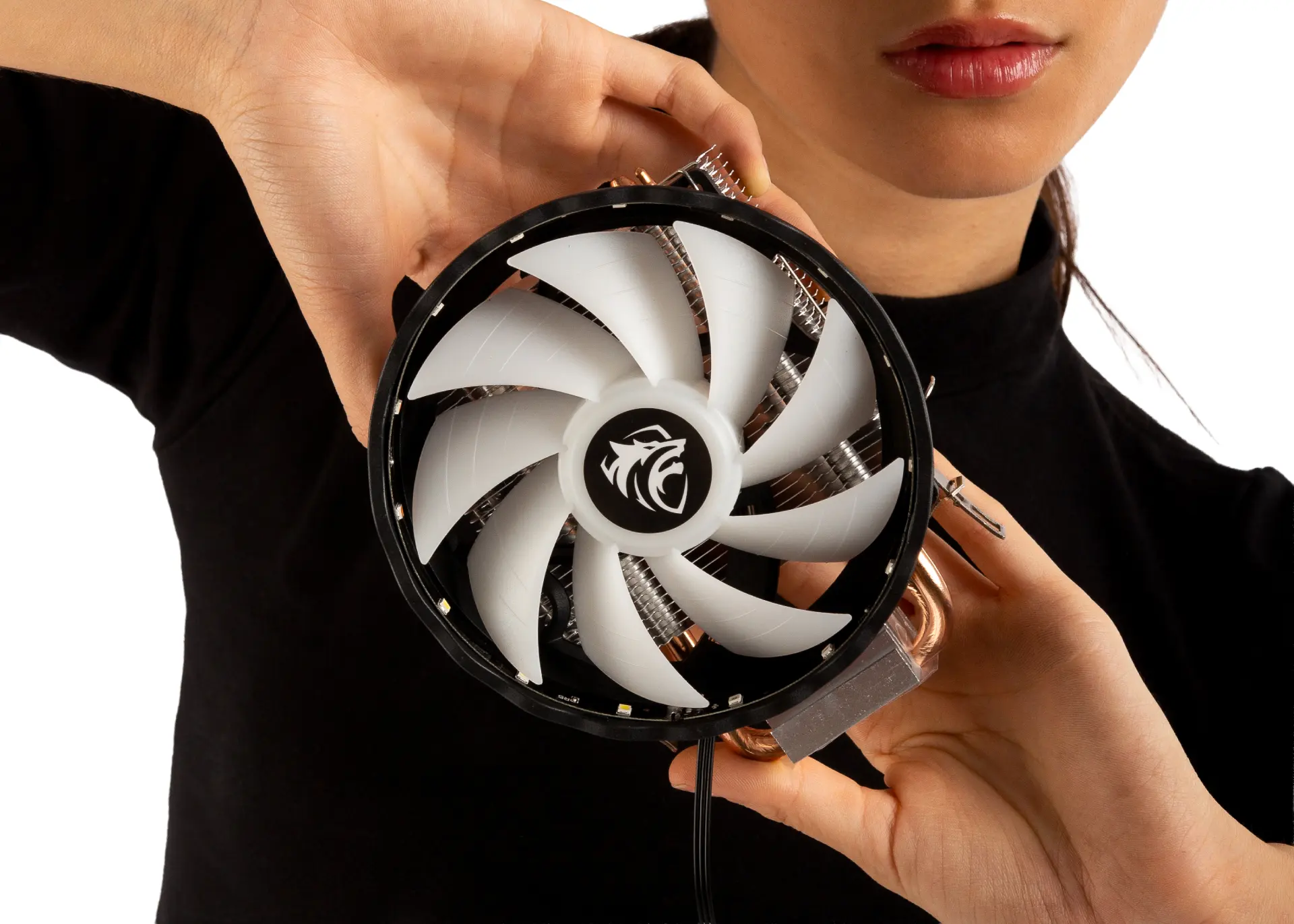CB-700 CPU Cooler visual 2